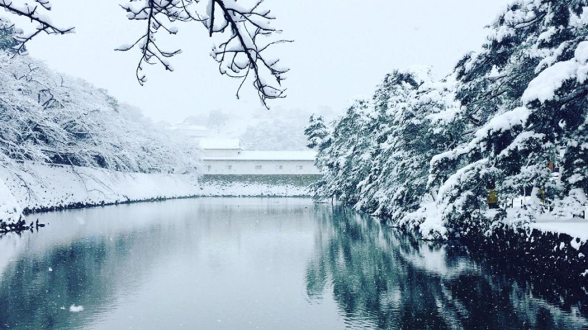Toyoko Inn Hikone Eki Higashi Guchi Esterno foto