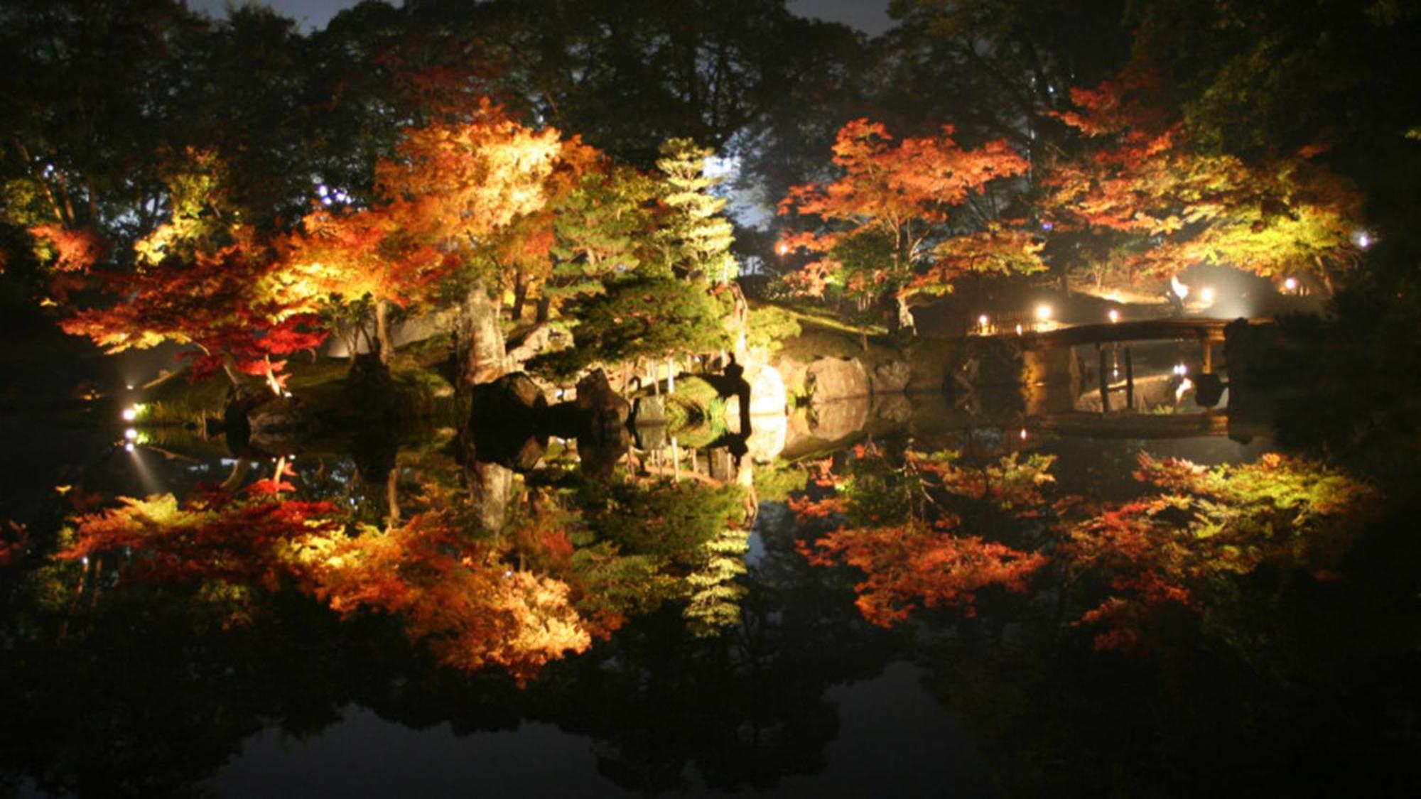 Toyoko Inn Hikone Eki Higashi Guchi Esterno foto